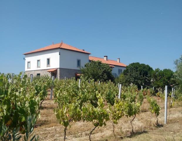 Quinta De Vodra Villa Seia Ngoại thất bức ảnh