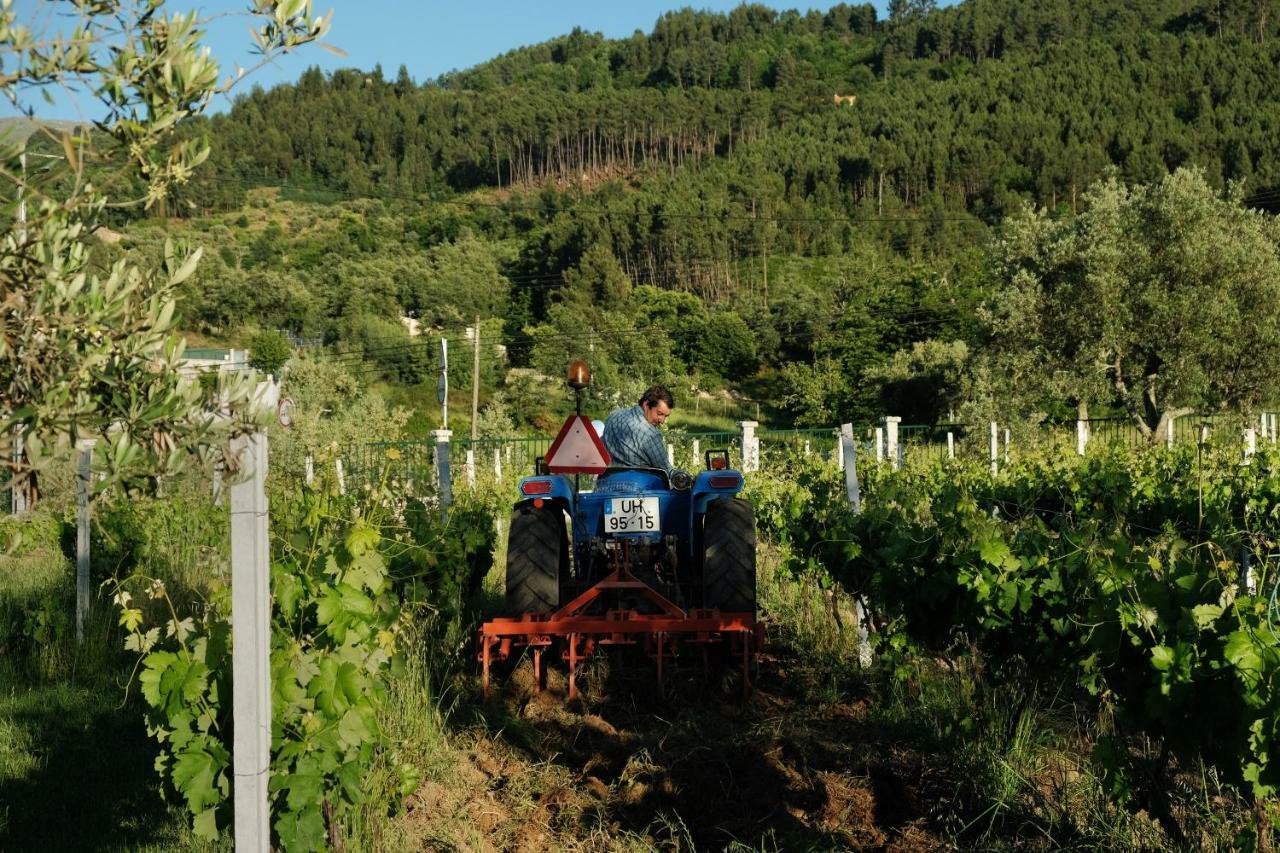 Quinta De Vodra Villa Seia Ngoại thất bức ảnh